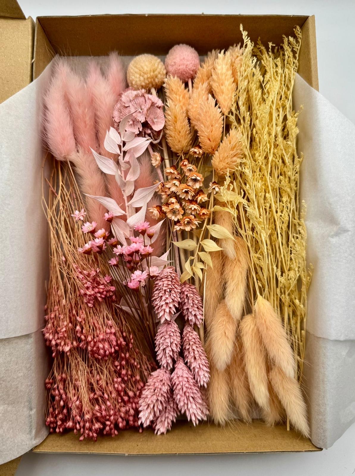 Kreativbox „Papayaglanz“