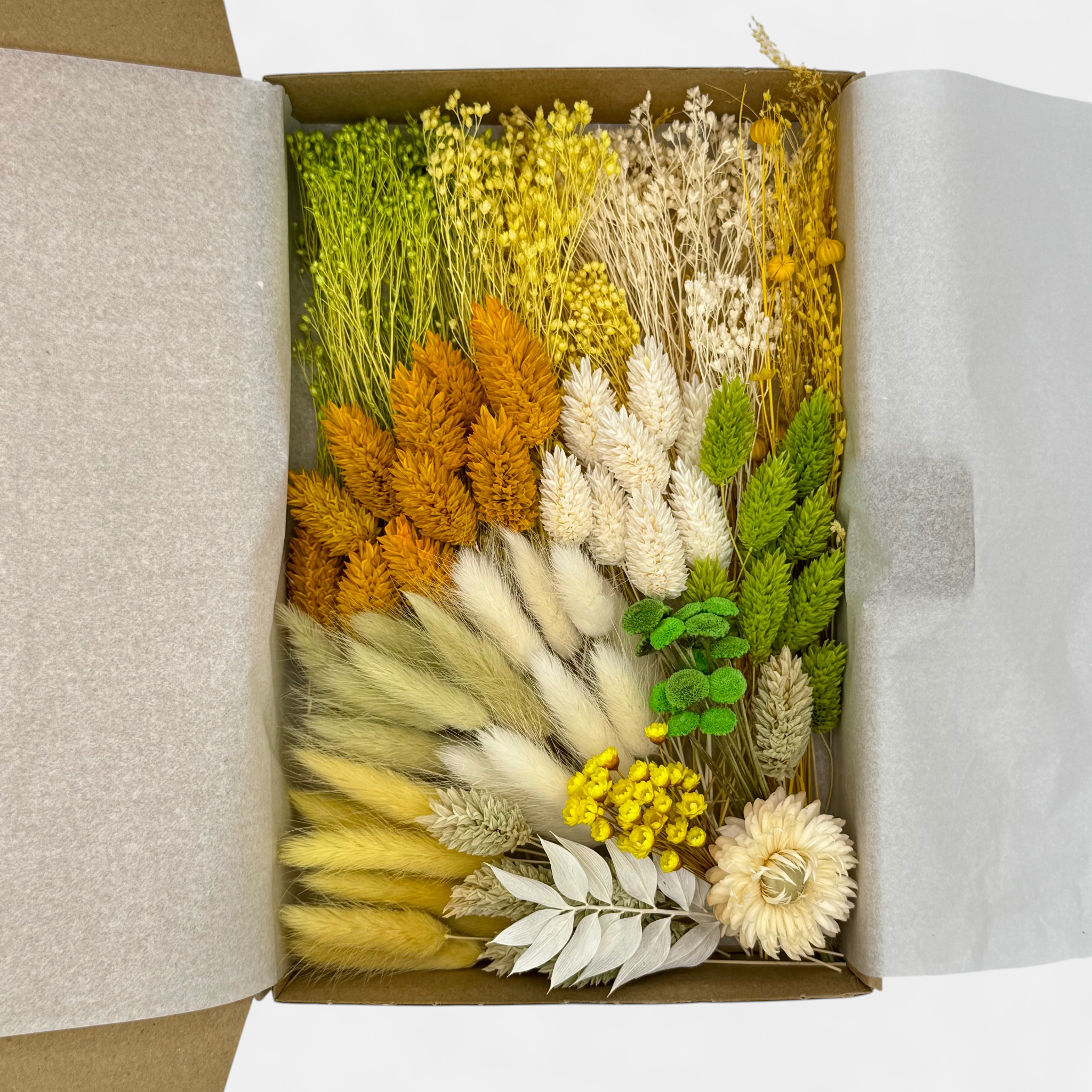 Deluxe-Box „Greeni“ | L