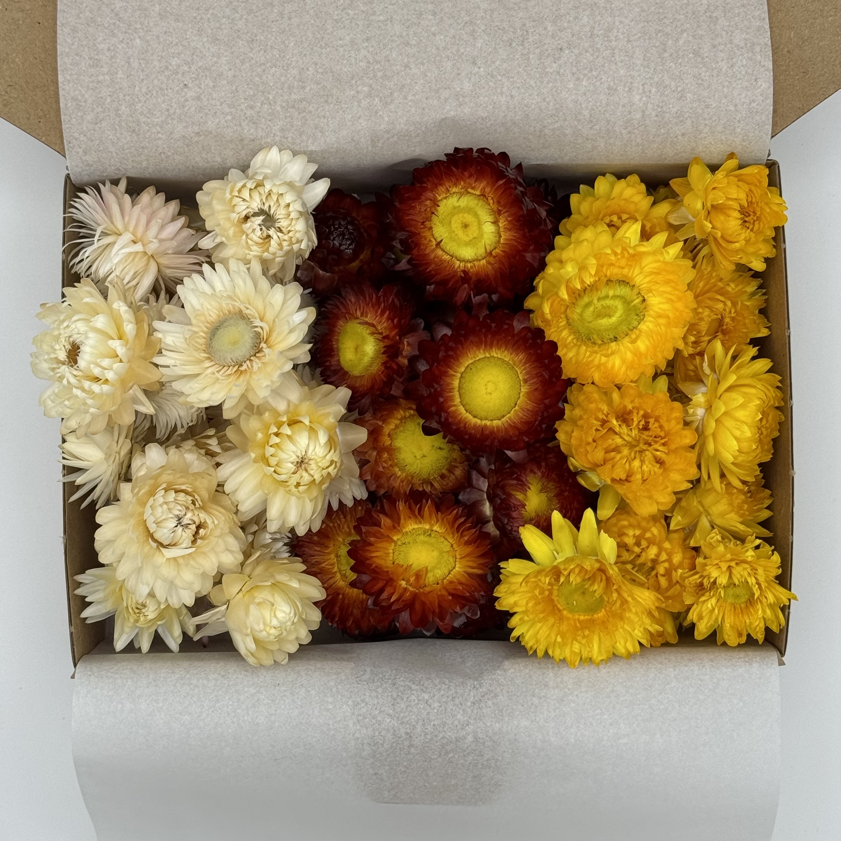 Strohblume Mix