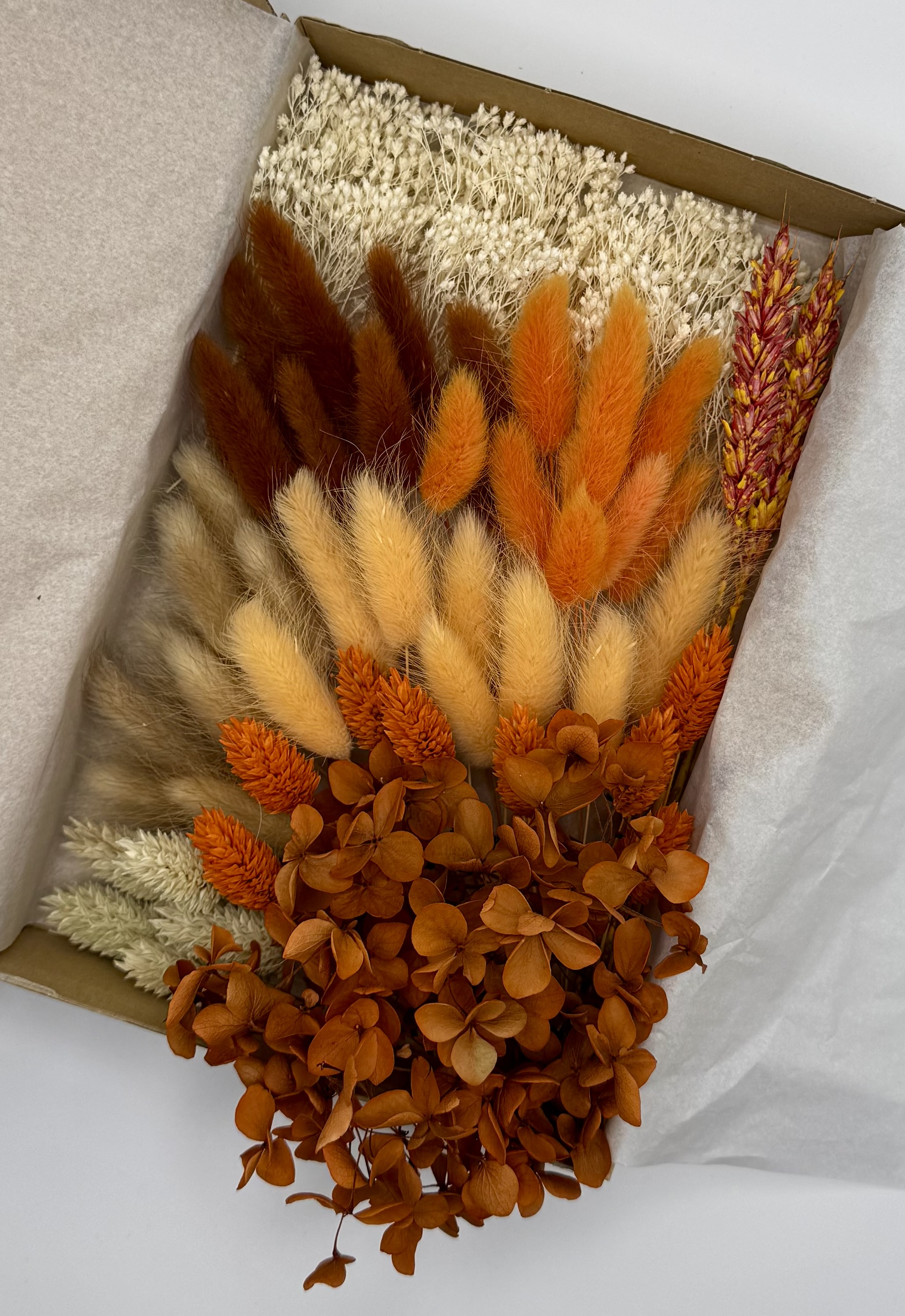 Deluxe-Box „Kastanienzauber“