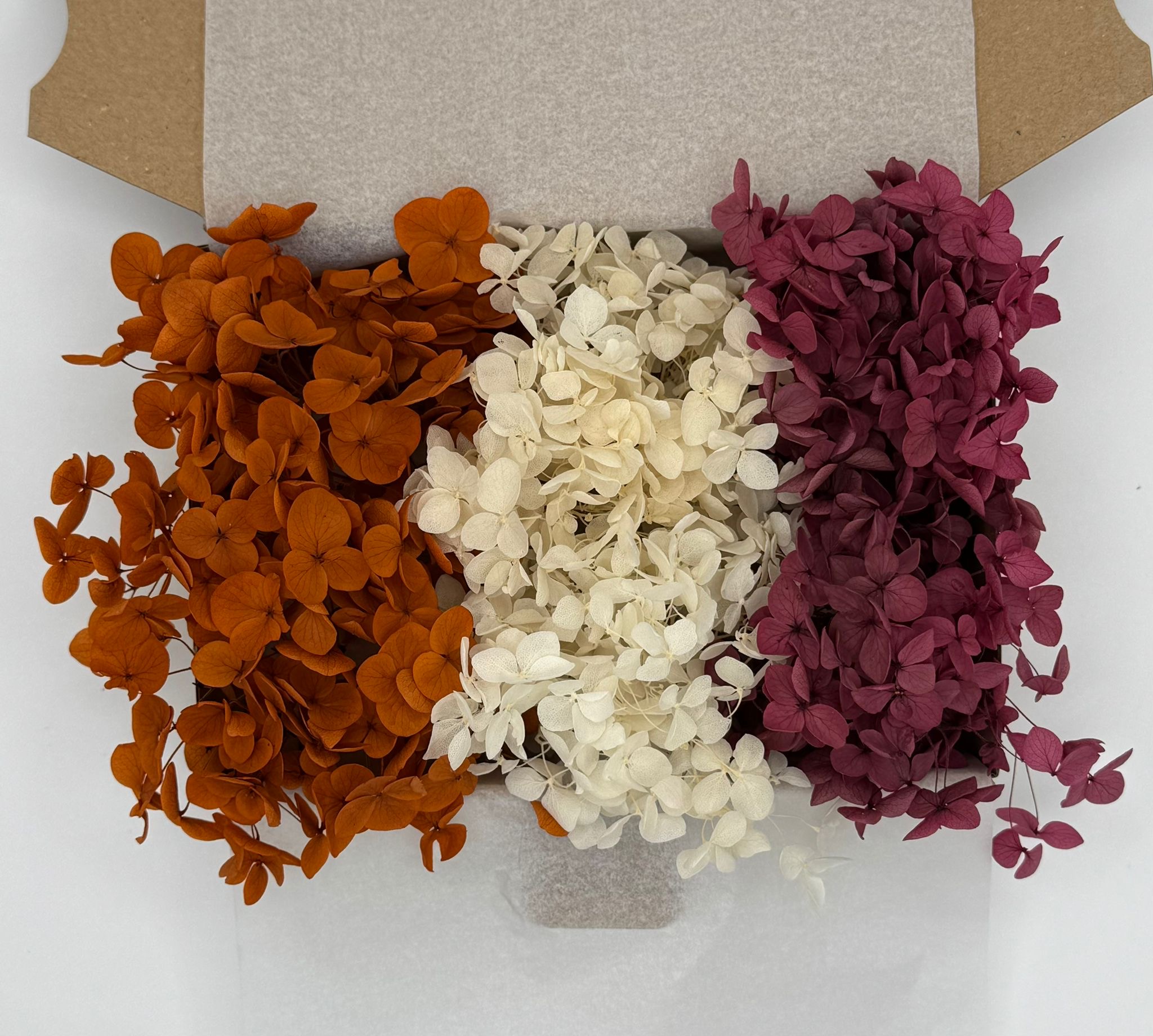 Hortensien Mix | Bordeaux/Creme/Orange
