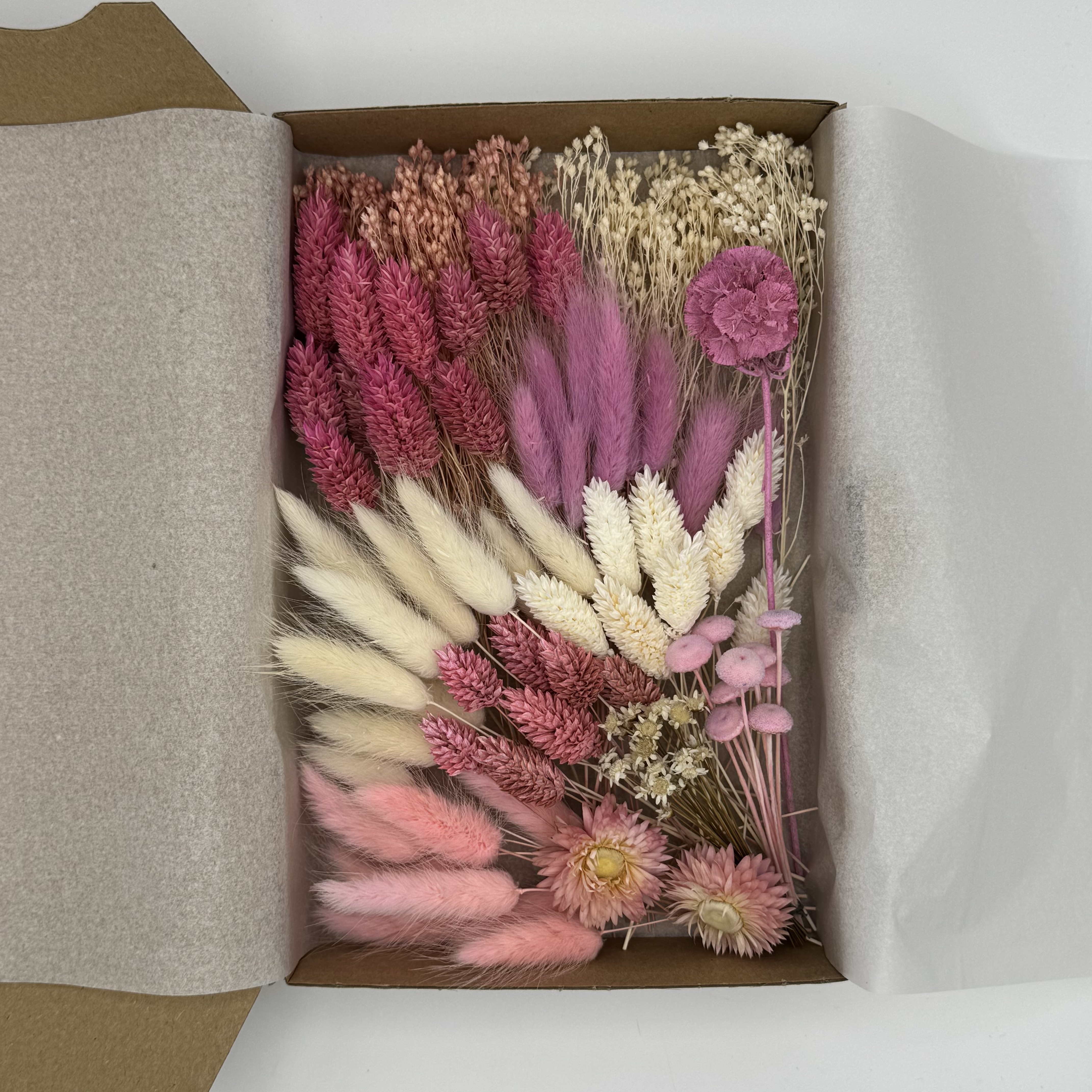 Deluxe- Boxen