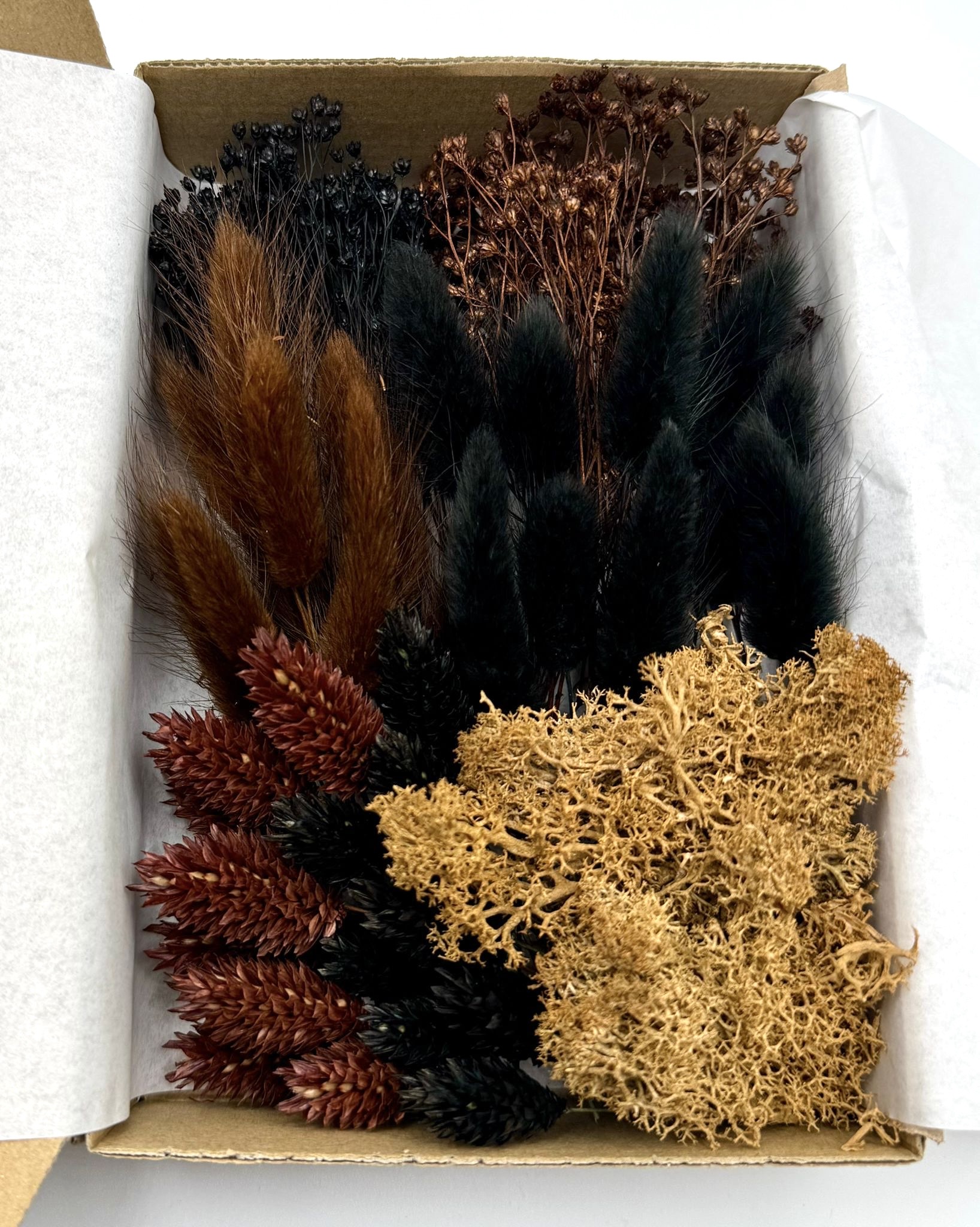 Deluxe-Box „Tonkabohne“