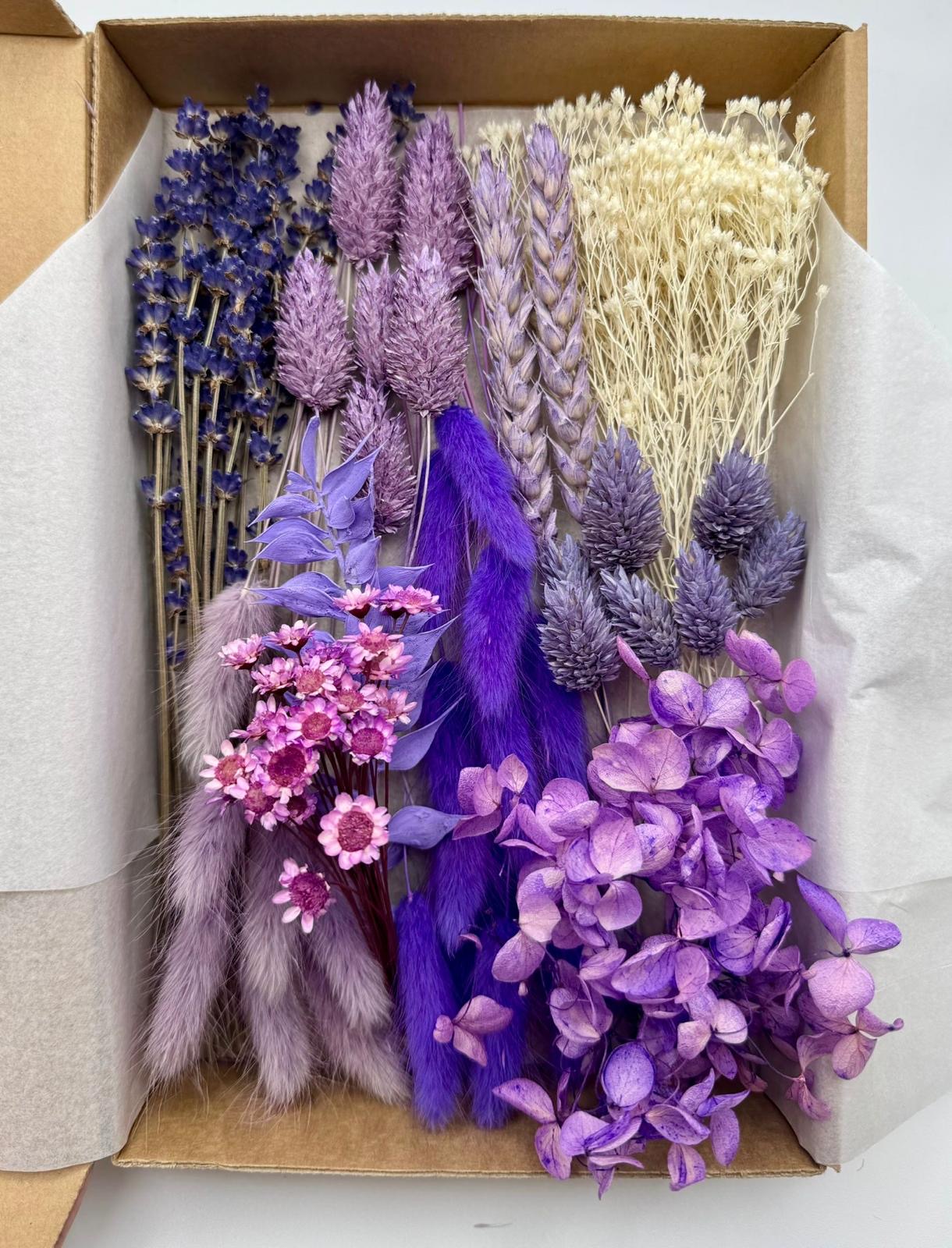 Kreativbox „Lavendelpoesie“