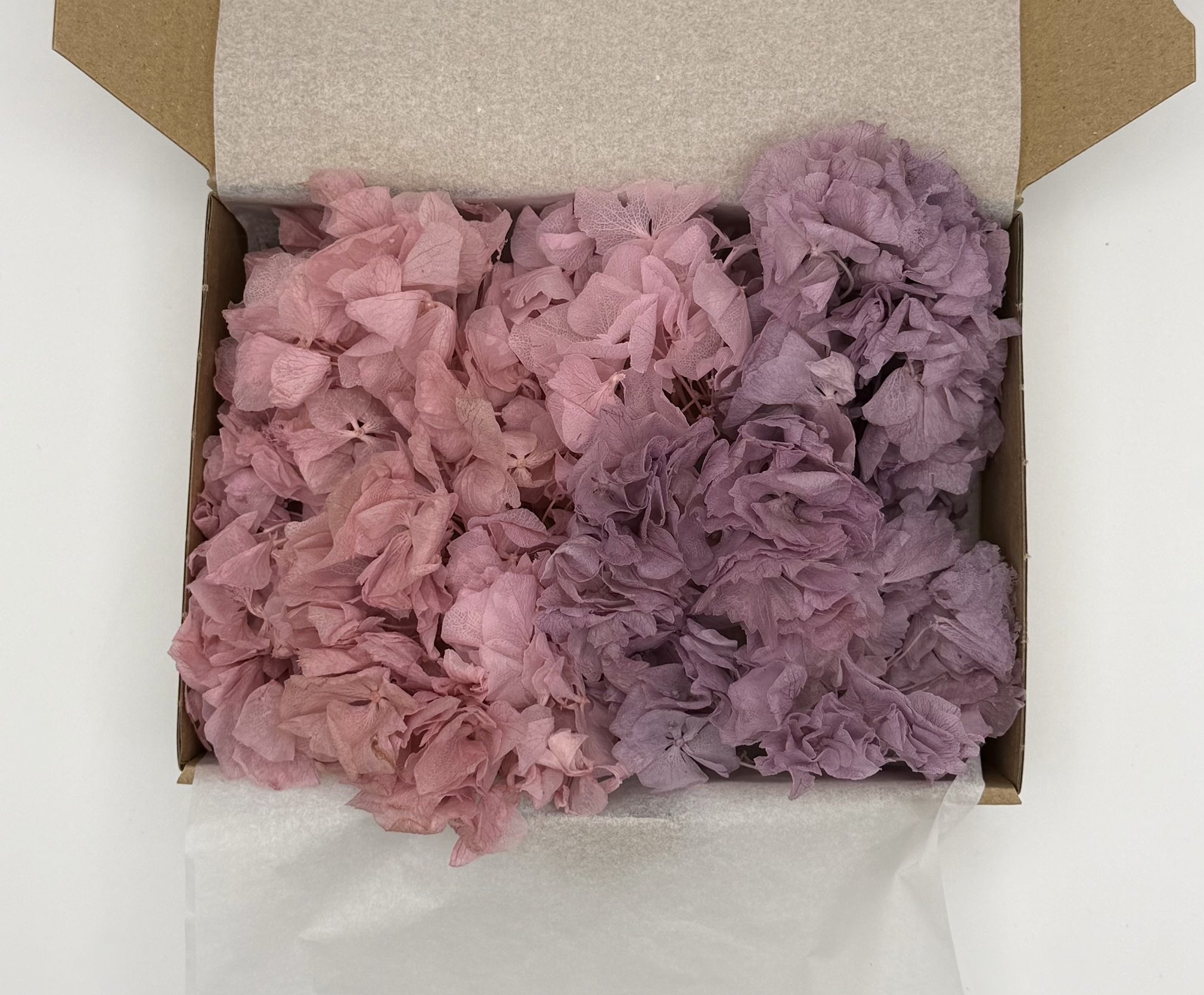 Hortensienmix B-Ware | Rosa/Lavendel