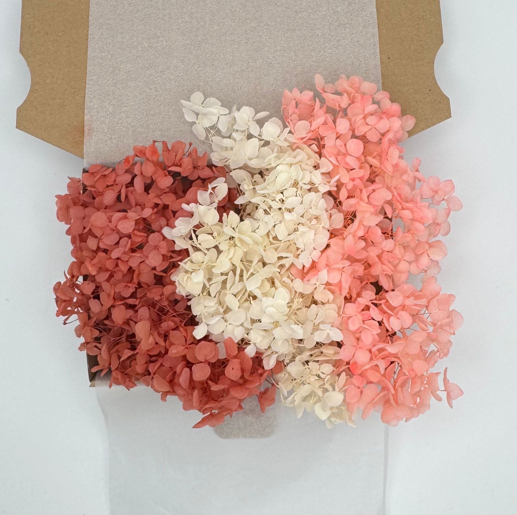 Hortensien Mix | Rot Creme Rosa