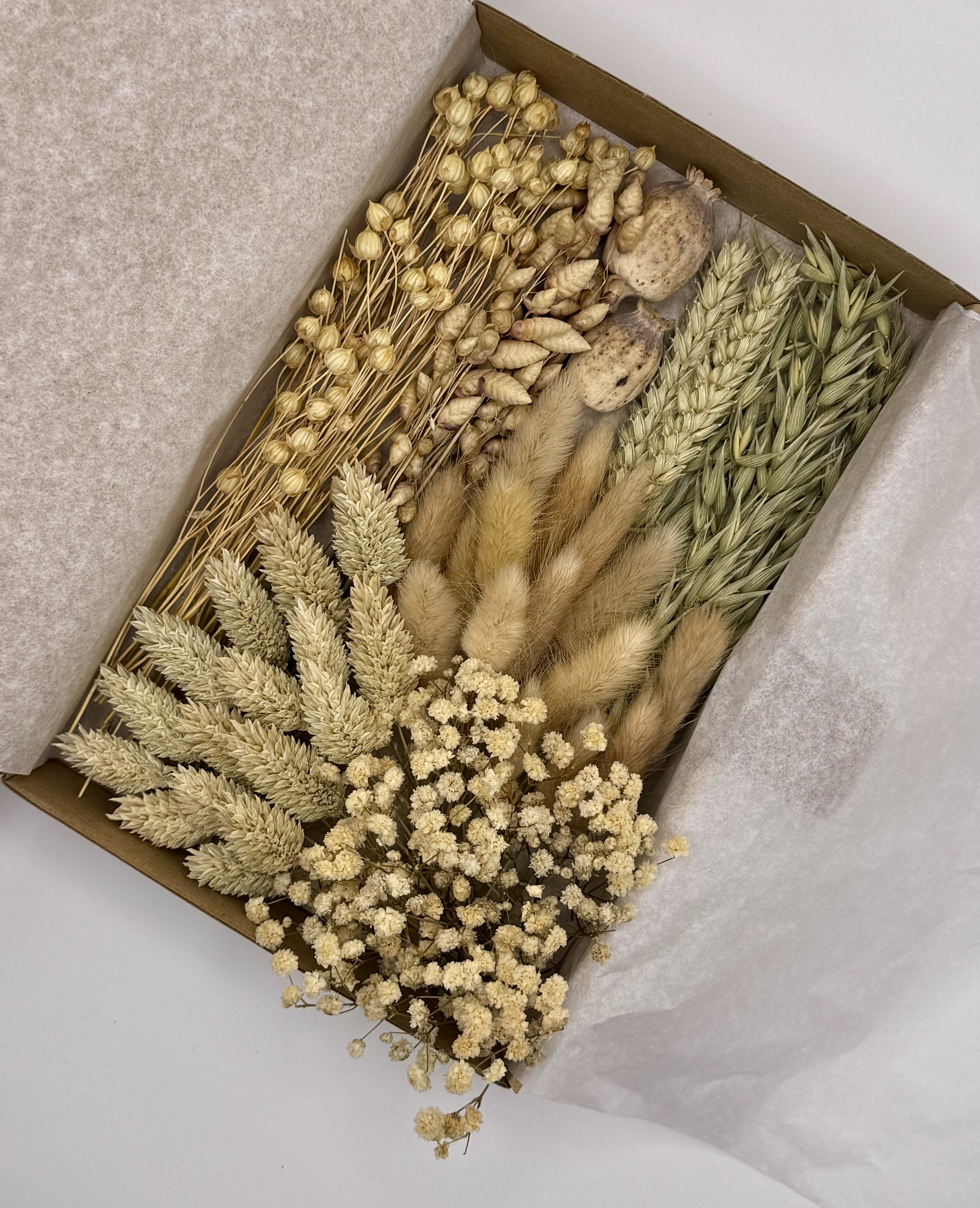 Deluxe-Box „Naturglanz“