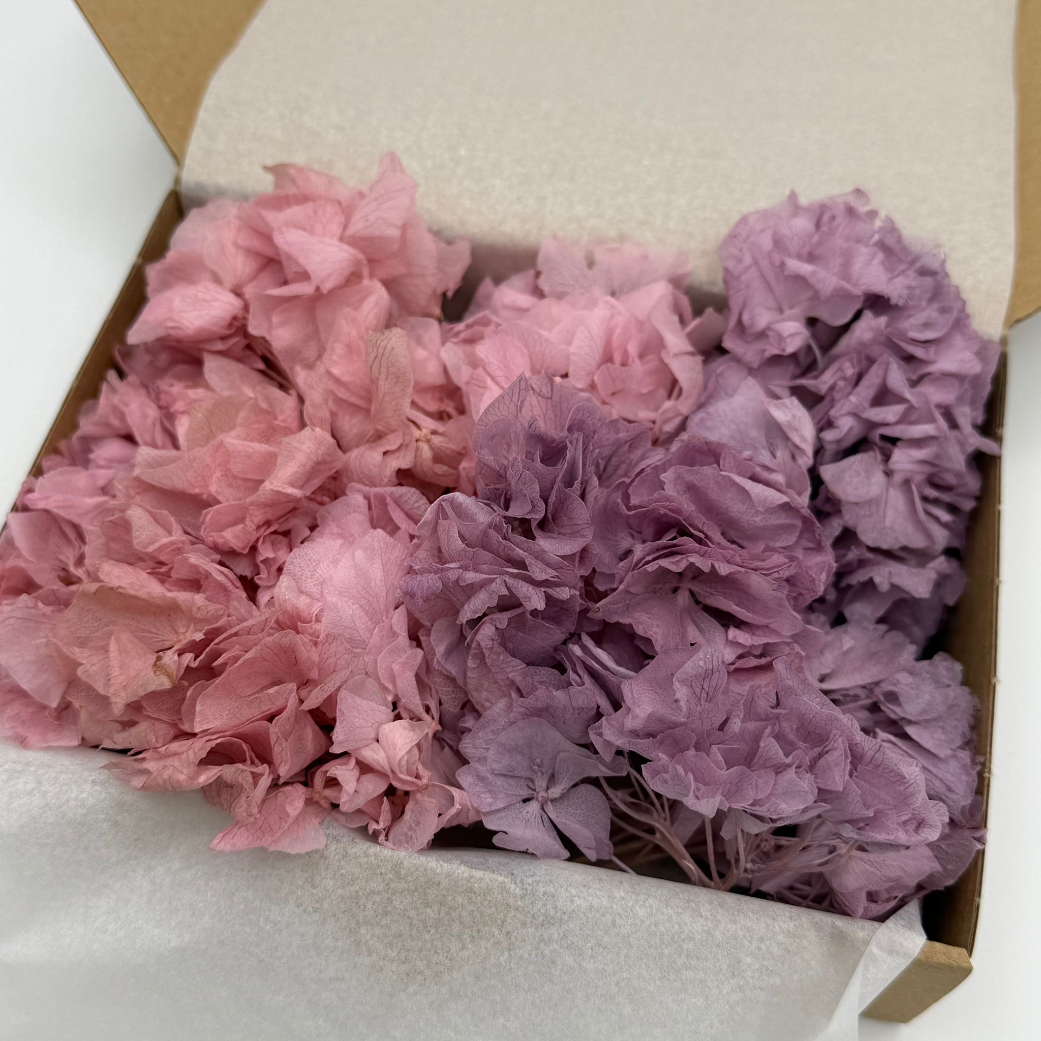 Hortensienmix B-Ware | Rosa/Lavendel