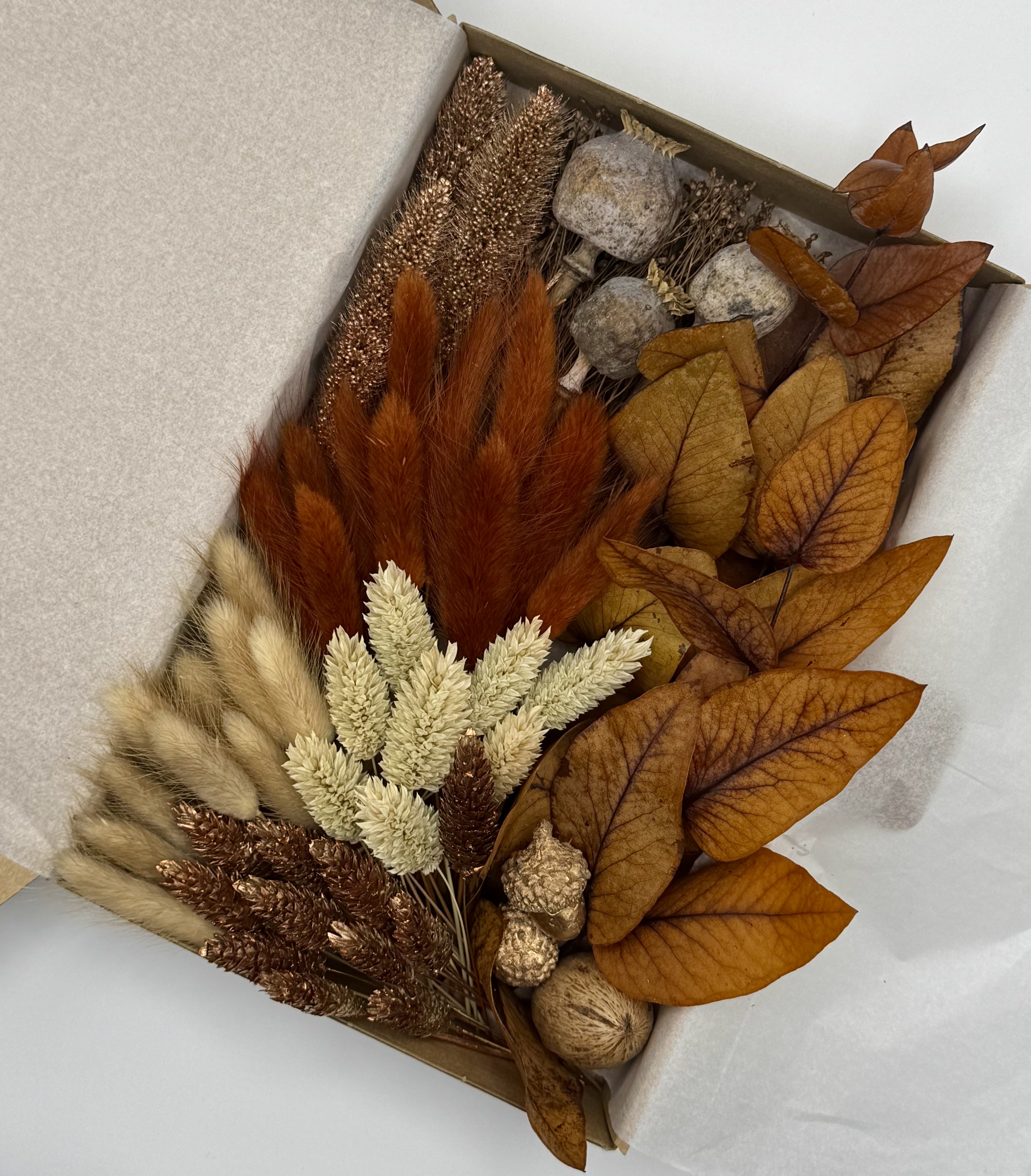 Deluxe-Box „Bronzeaufgang“