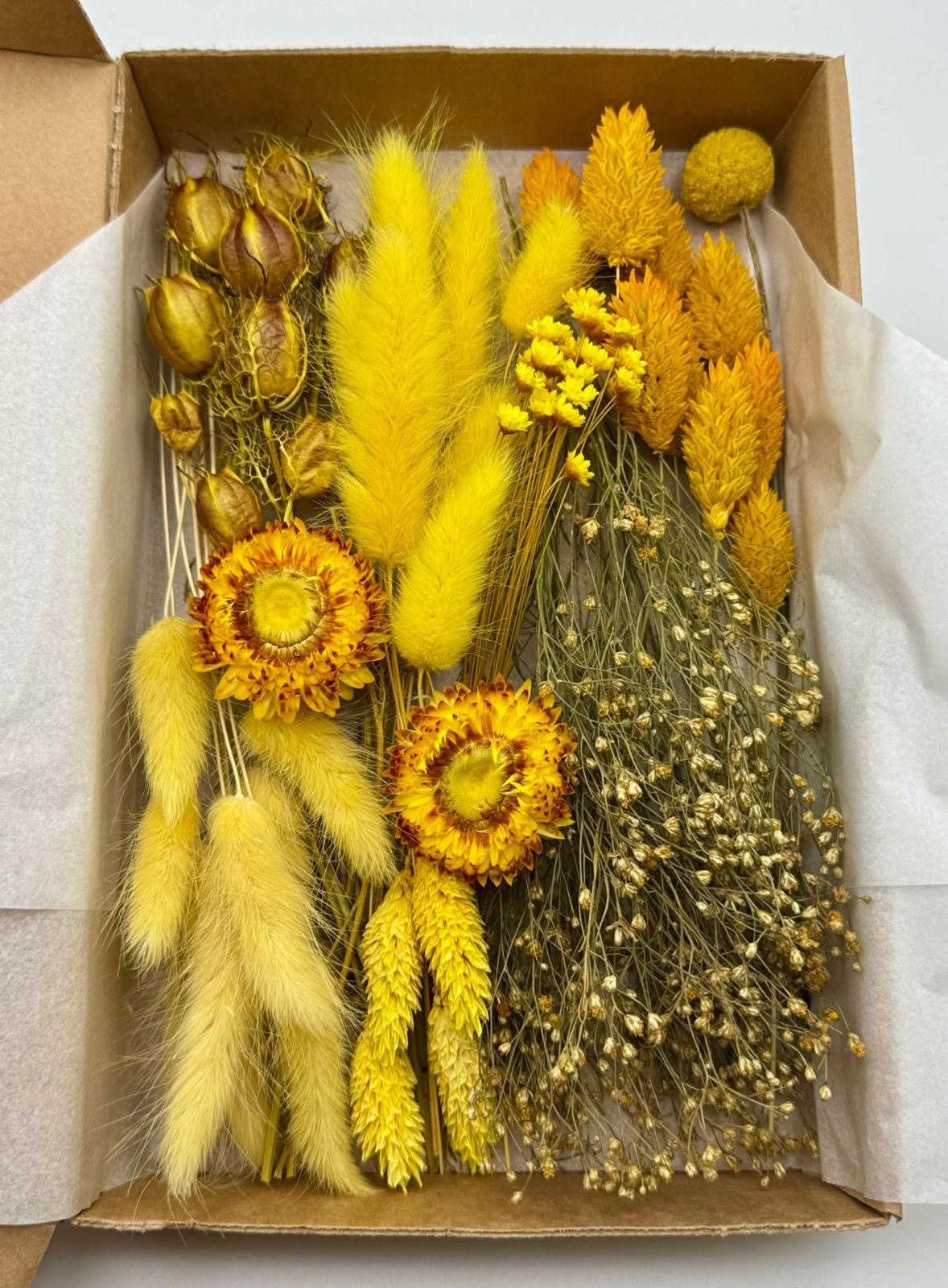 Kreativbox „Abendlicht“