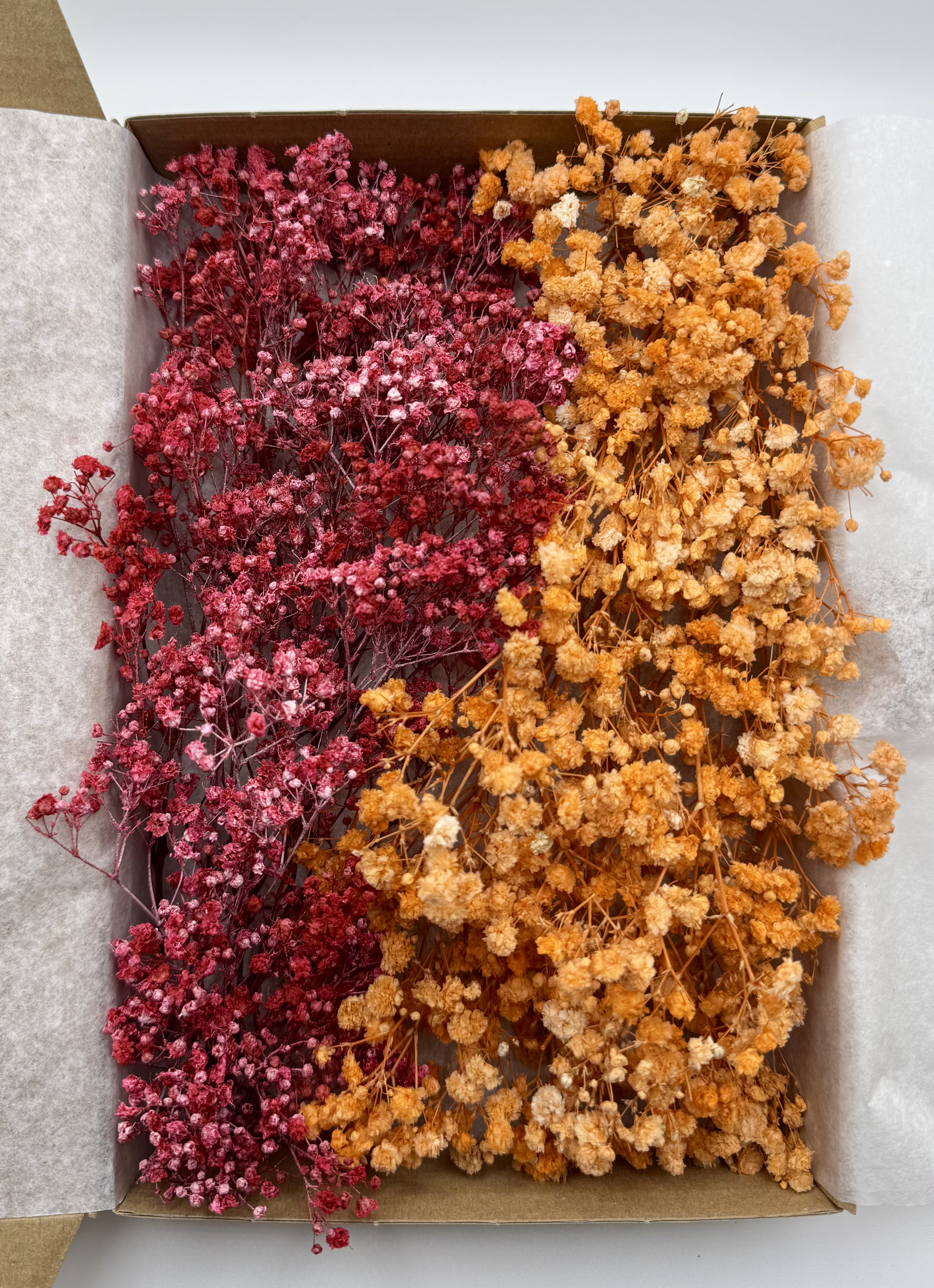 Schleierkrautbox No. 2