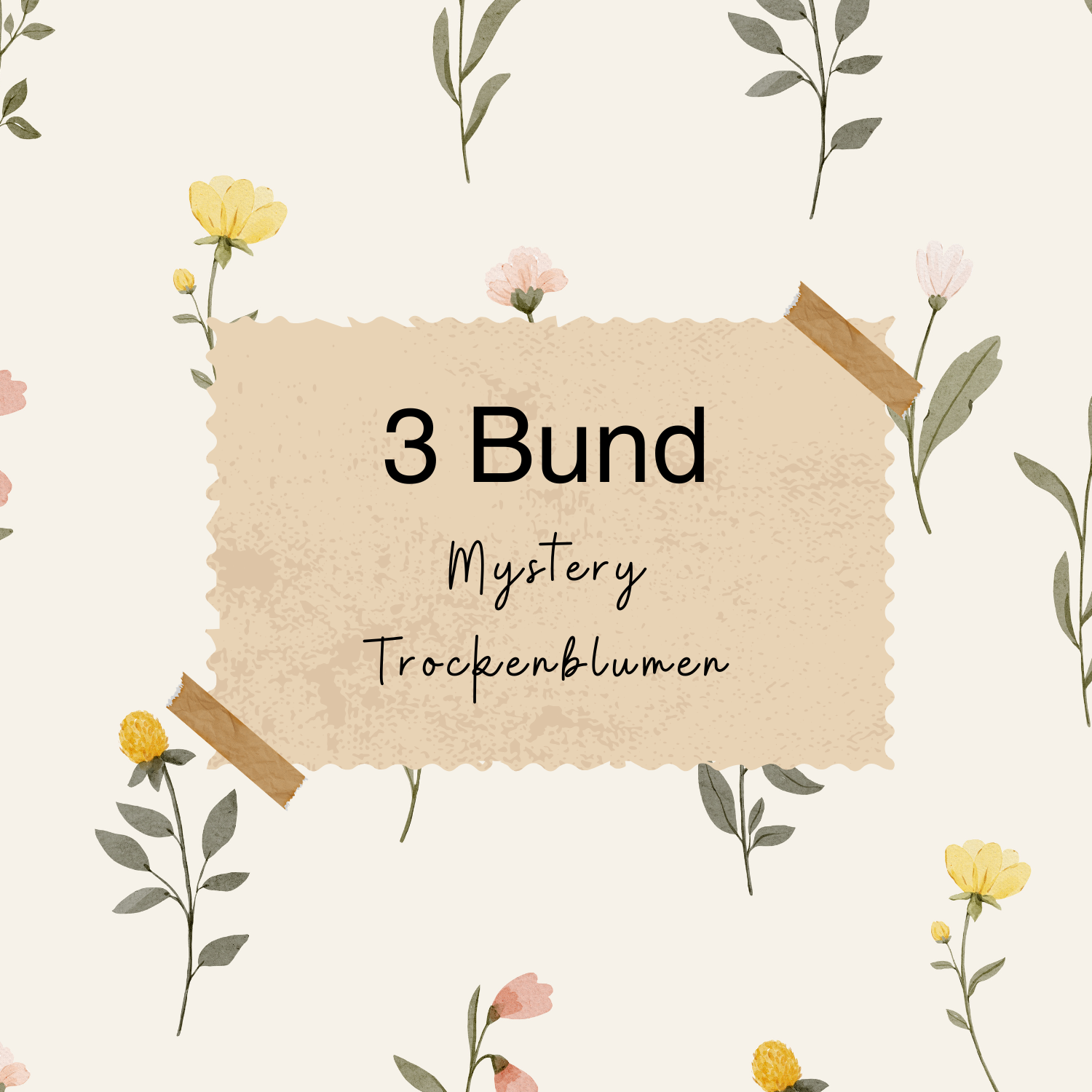 Mystery drei Bund Trockenblumen