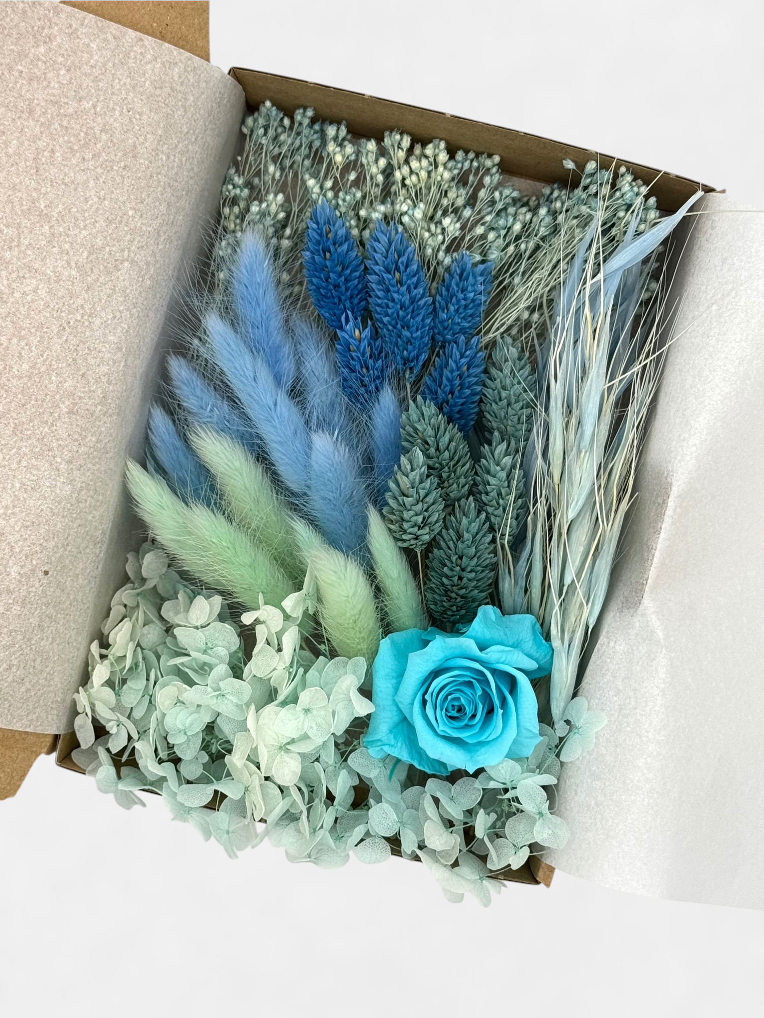 Deluxe-Box "Oster-Special II" | M