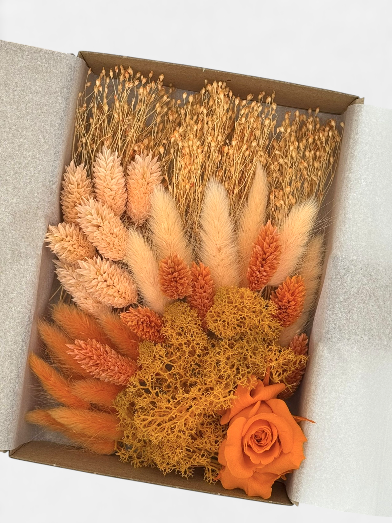 Deluxe-Box "Oster-Special III" | M