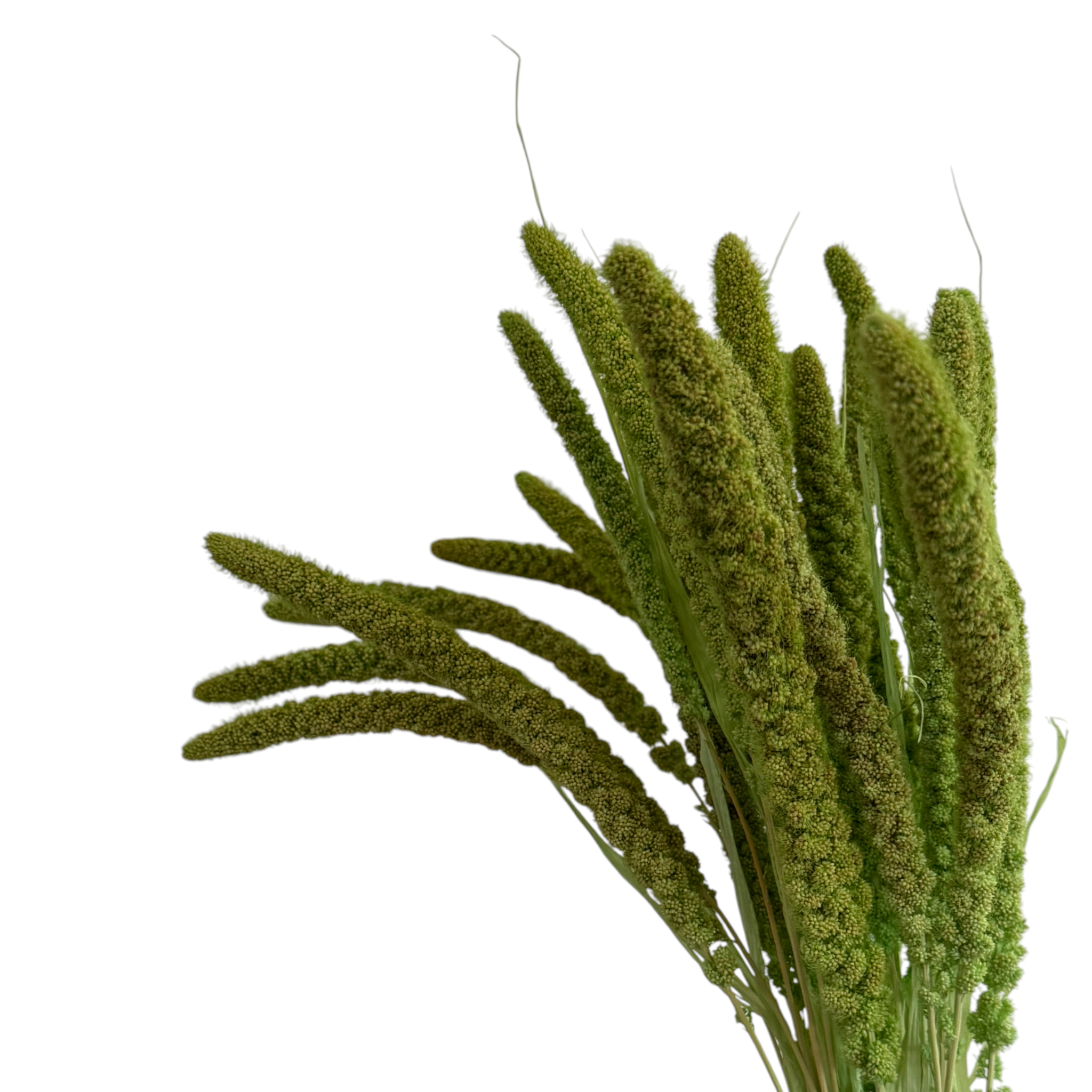 Grün