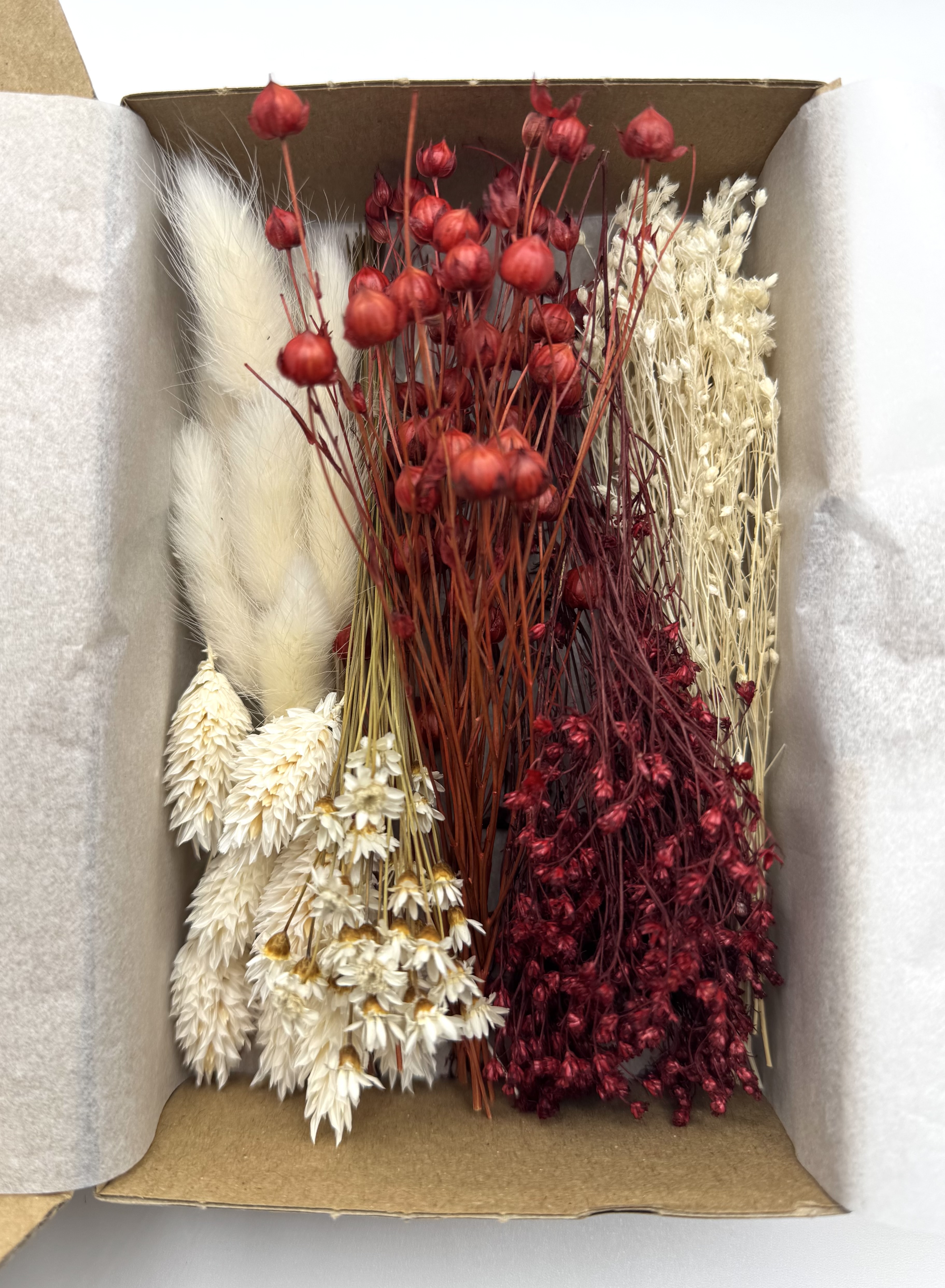 Monatsangebot November