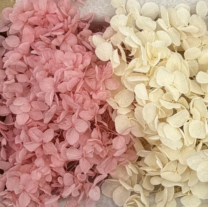 Hortensien Mix | Rosa/Weiß