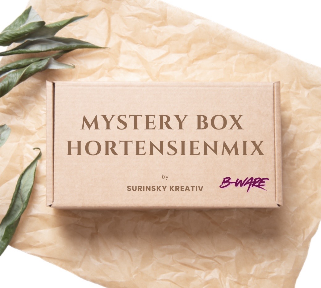 Mystery-Hortensienmix B-Ware
