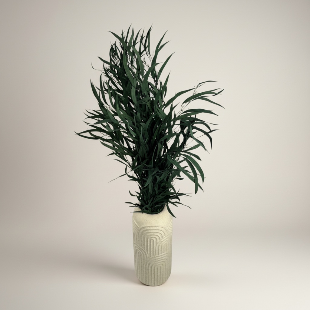 Eukalyptus Nicholli | Konserviert