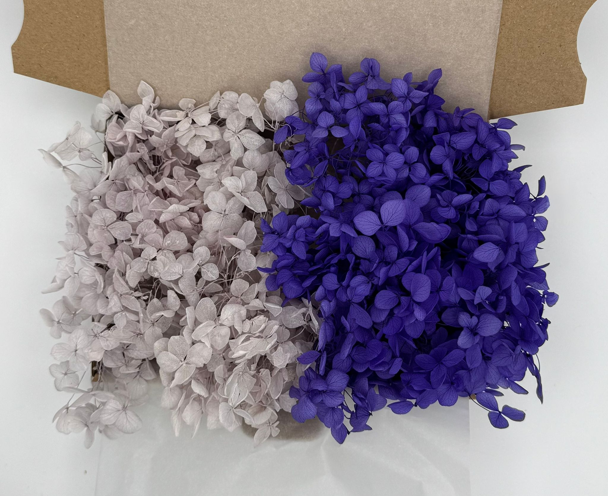 Hortensien Mix | Helllila/Dunkellila