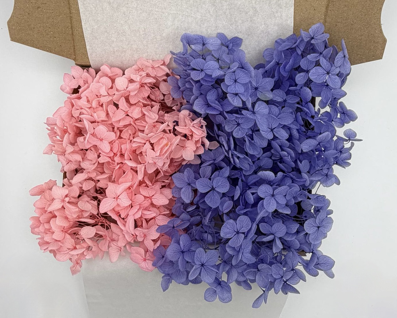 Hortensien Mix | Rosa/Lavendel