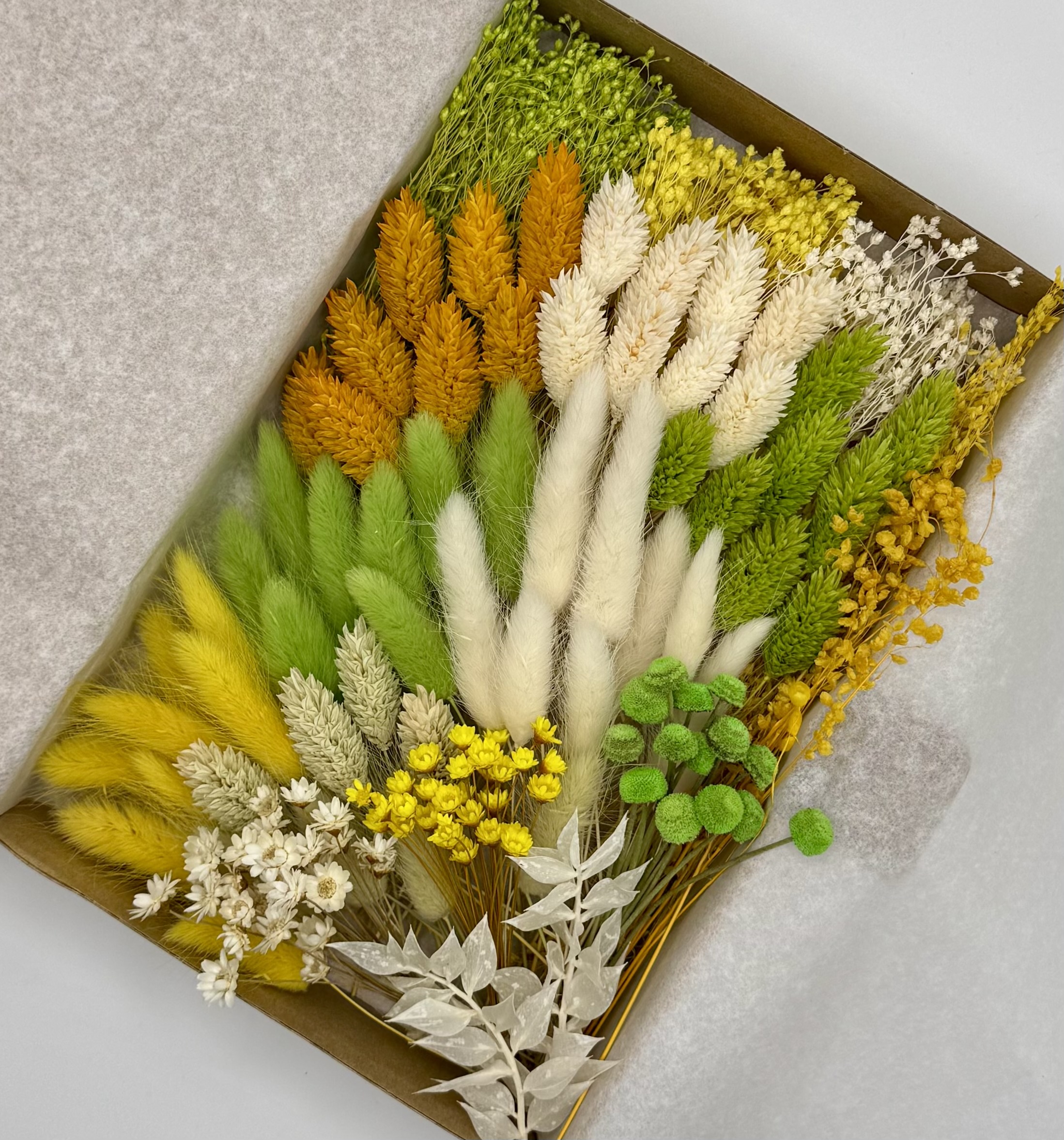 Deluxe-Box „Greeni“